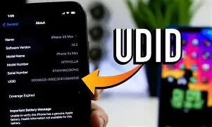 UDID iPhone